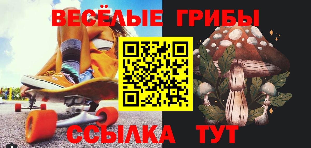 Псилоцибиновые грибы Psilocybine cubensis  Вход с VPN  Каменск-Уральский 