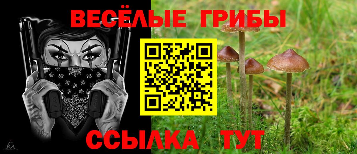 Галлюциногенные грибы GOLDEN TEACHER Каменск-Уральский